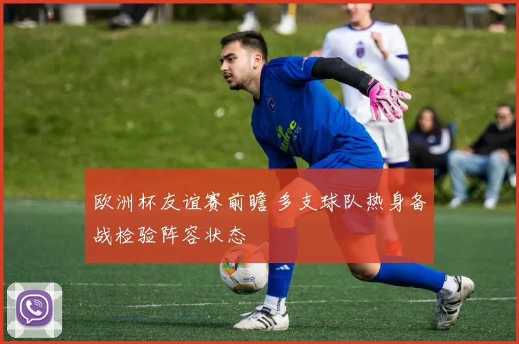 欧洲杯友谊赛前瞻 多支球队热身备战检验阵容状态