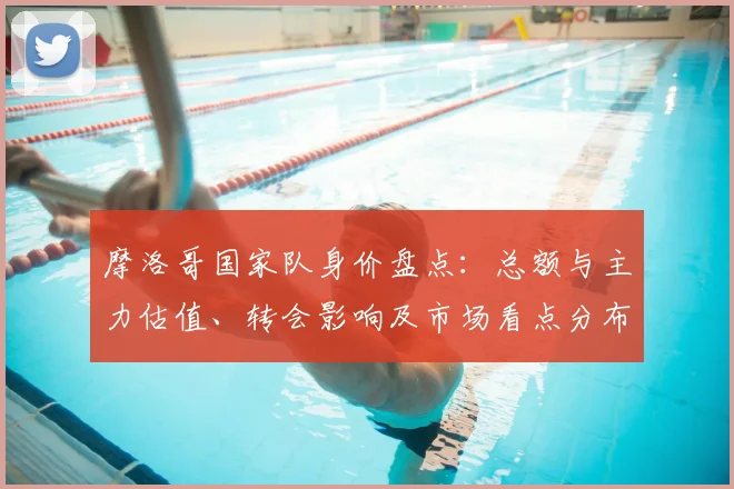 摩洛哥国家队身价盘点:总额与主力估值、转会影响及市场看点分布