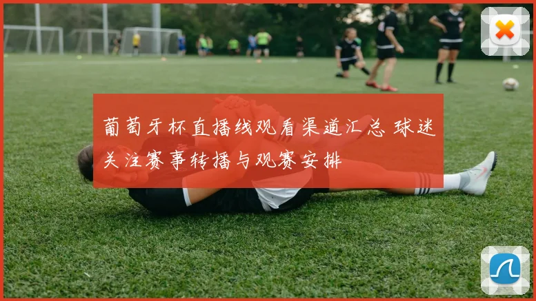 葡萄牙杯直播线观看渠道汇总 球迷关注赛事转播与观赛安排