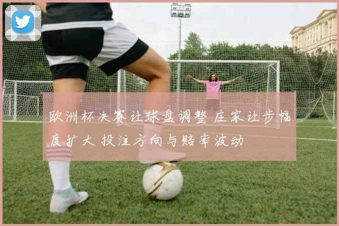欧洲杯决赛让球盘调整 庄家让步幅度扩大 投注方向与赔率波动